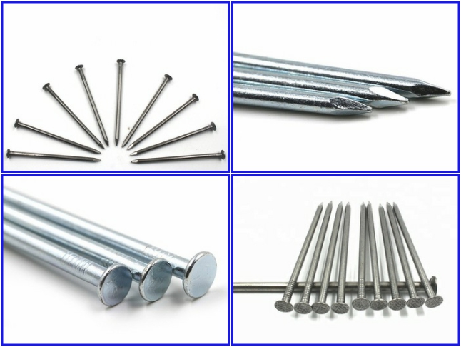 Professional manufacture supply Q195 common nails wire nail with best price