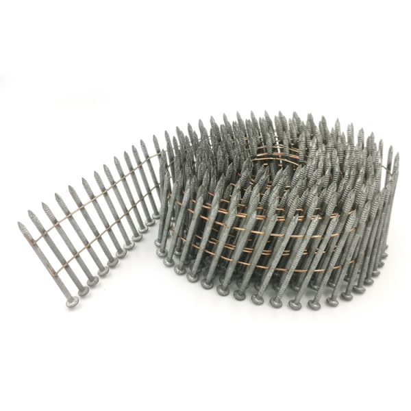 hot dip galvanized coil nail