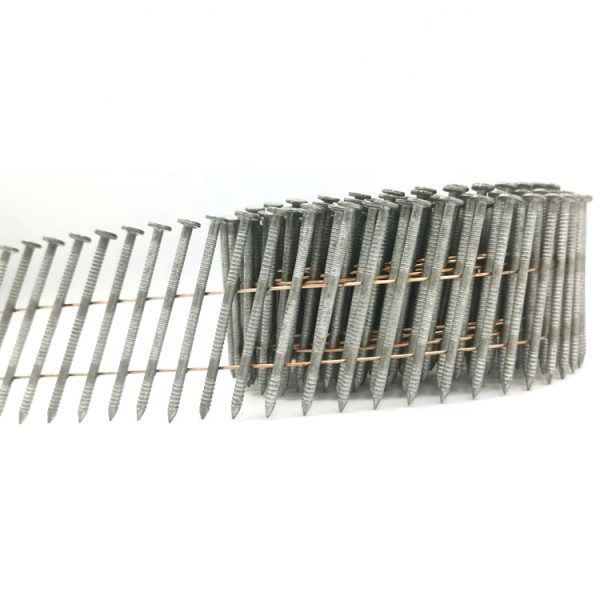 hot dip galvanized coil nail