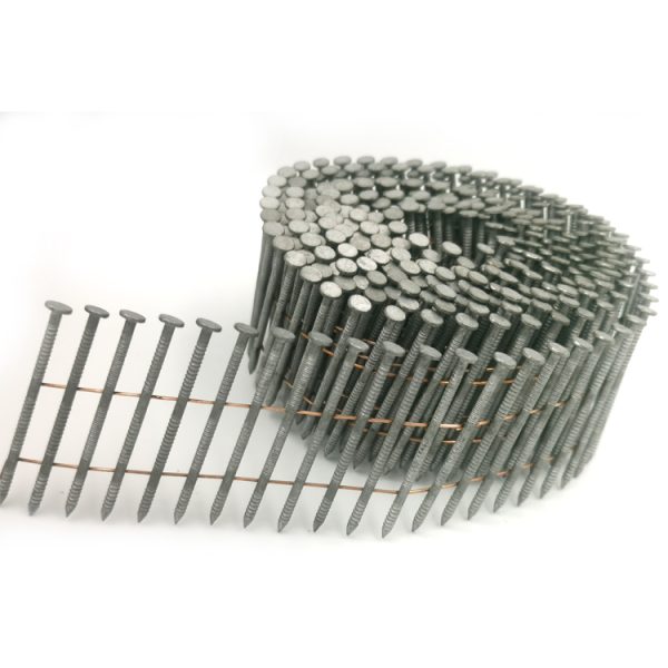 hot dip galvanized coil nail