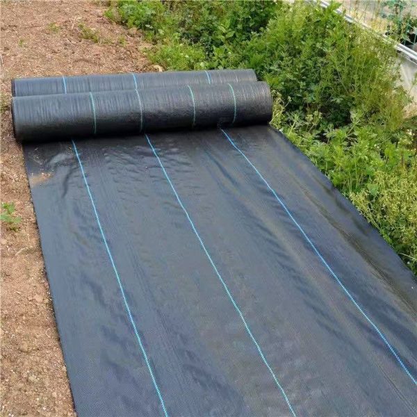 Weed Barrier Fabric - Image 9