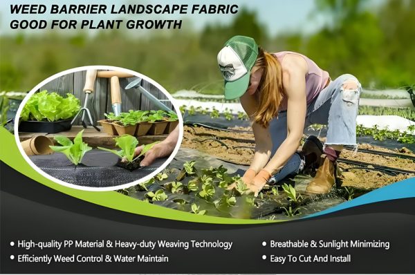 Weed Barrier Fabric - Image 10